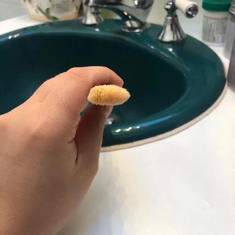 NEW LUXIE 510 FOUNDATION BRUSH